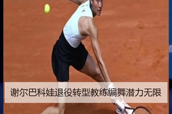 xie-er-ba-ke-wa-tui-yi-zhuan-xing-jiao-lian-bian-wu-qian-li-wu-xian-2-609.jpg