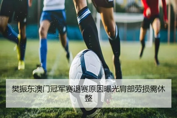 樊振东澳门冠军赛退赛原因曝光肩部劳损需休整