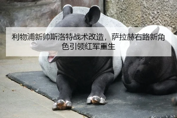 利物浦新帅斯洛特战术改造，萨拉赫右路新角色引领红军重生